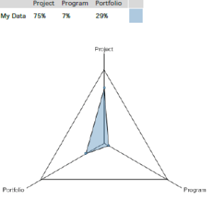 Maturity Evaluation PPP Graphic 1
